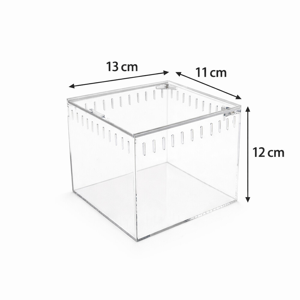 Happet Terrarium Akrylowe dla Pająka 13x11x12cm